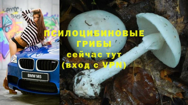 не бодяженный Алексин