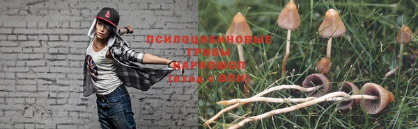 не бодяженный Алексин