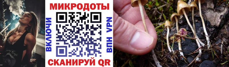 нарко площадка официальный сайт  Коркино  Псилоцибиновые грибы Psilocybe 